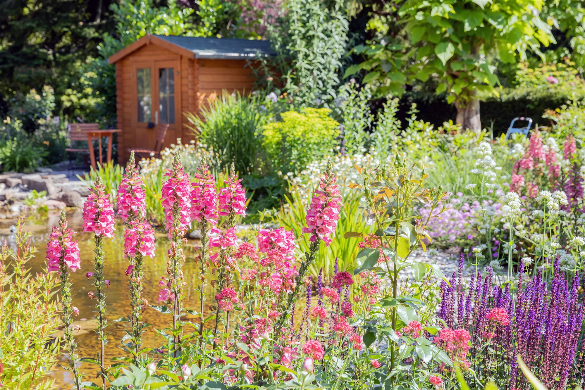 Gartenträume werden wahr …